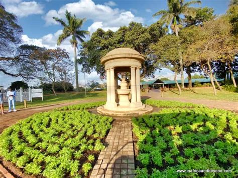  The Durban Botanic Gardens: Enchanting Oasis Amidst a Bustling Metropolis!