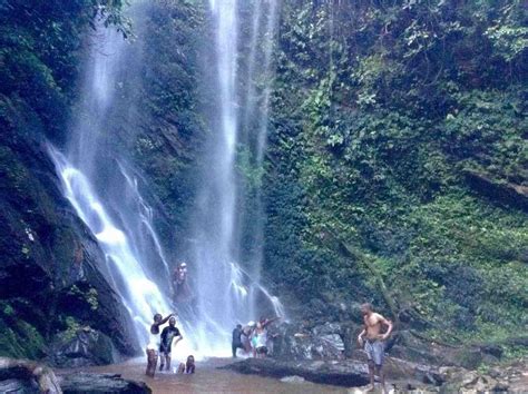 Erin Ijesha Waterfalls: En Magisk Naturupplevelse i Osun-Statens Grönska!