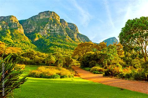  Kirstenbosch National Botanical Garden – En Blomsterparadiset Mitt i Kappstaden!