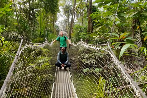 Lekki Conservation Centre Enormt ekosystem med otroliga djur!